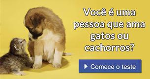 Você é uma pessoa que ama gatos ou cachorros?
