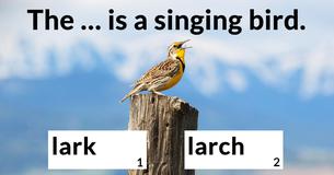 Can you correct these truly difficult sentences?