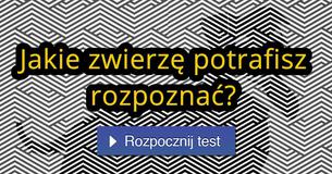 Tylko niski procent ludności potrafi rozpoznać te ukryte obrazy! Czy Ty również?