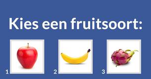 Welke twee woorden beschrijven jou?