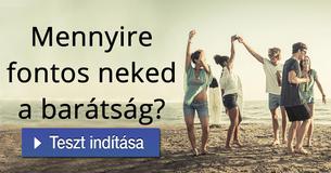 Mennyire fontos neked a barátság? 