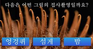 오직 50명만 알아볼 수 있는 근접 사진입니다! 당신도 여기에 속할까요?