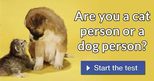Are you a cat person or a dog person?
