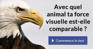 Avec quel animal ta force visuelle est-elle comparable ?