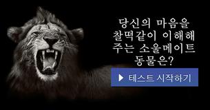 당신의 마음을 찰떡같이 이해해 주는 소울메이트 동물은?