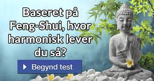 Baseret på Feng-Shui, hvor harmonisk lever du så?