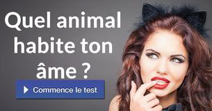 Quel animal habite ton âme ?
