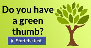 Do you have a green thumb?