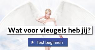 Wat voor vleugels heb jij?