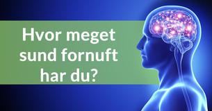 Hvor meget sund fornuft har du?