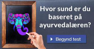 Hvor sund er du baseret på ayurvedalæren?