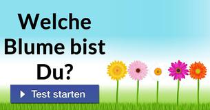 Welche Blume bist Du?