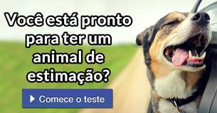 Você está pronto para ter um animal de estimação? 