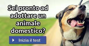 Sei pronto ad adottare un animale domestico?