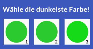 Der visuelle Test den nur Piloten bestehen können!