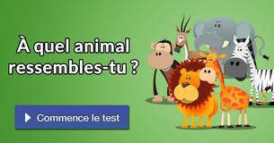 À quel animal ressembles-tu ?