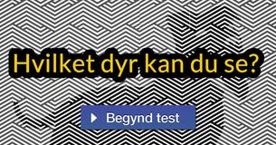 Kun et fåtal af menneskene kan genkende disse skjulte billeder! Kan du?
