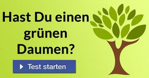 Hast Du einen grünen Daumen?