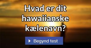 Hvad er dit hawaiianske kælenavn?