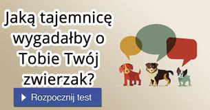 Jaką tajemnicę wygadałby o Tobie Twój zwierzak?