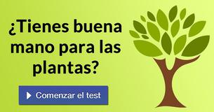 ¿Tienes buena mano para las plantas?