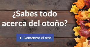 ¿Sabes todo acerca del otoño?