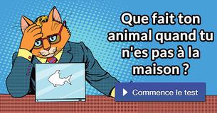 Que fait ton animal quand tu n'es pas à la maison ?