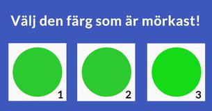 Syntestet som bara piloter klarar av!