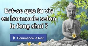 Est-ce que tu vis en harmonie selon le feng shui ?