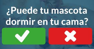 ¿Qué piensa tu mascota sobre ti?