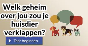 Welk geheim over jou zou je huisdier verklappen?