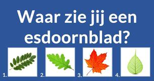 Herken jij deze planten?