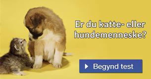 Er du katte- eller hundemenneske?