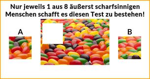 Nur jeweils 1 aus 8 äußerst scharfsinnigen Menschen schafft es diesen Test zu bestehen!