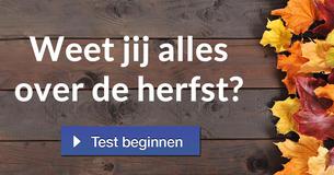 Weet jij alles over de herfst?