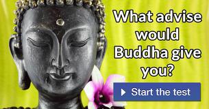 What advise would Buddha give you?