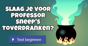Slaag je voor Professor Sneep's toverdranken?