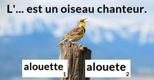 Peux-tu corriger ces phrases difficiles ?
