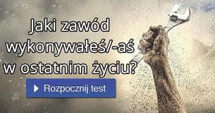 Jaki zawód wykonywałeś/-aś w ostatnim życiu?