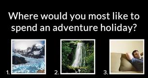 What type of bear are you?