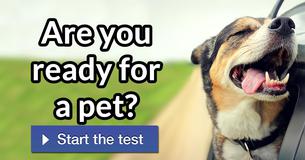 Are you ready for a pet?