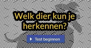 Slechts een klein aantal mensen kan deze verstopte plaatjes herkennen? Kun jij het?
