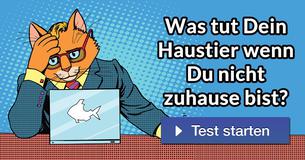 Was tut Dein Haustier wenn Du nicht zuhause bist?