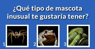 ¿Qué personaje de los locos Addams eres?