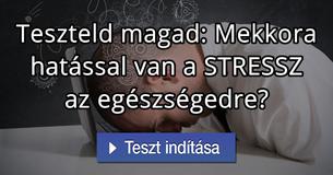 Teszteld magad: Mekkora hatással van a STRESSZ az egészségedre?