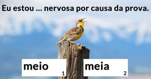 Você consegue corrigir estas frases dificílimas?