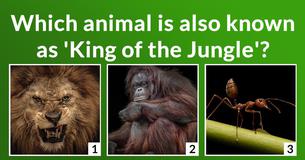 How much do you know about the jungle?