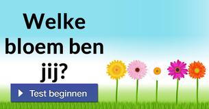 Welke bloem ben jij?
