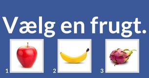 Hvilke to ord beskriver dig?