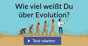 Wie viel weißt Du über Evolution?